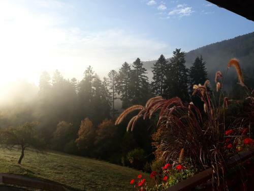 Hostal Landhaus Waldesh�he
