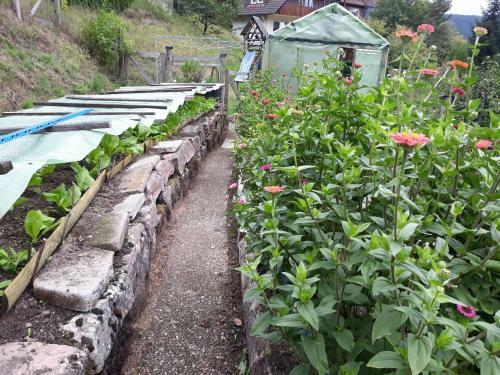 Hostal Landhaus Waldesh�he