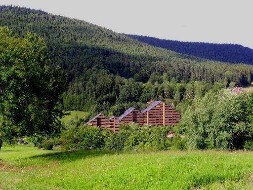 Apartamento Haus Schwarzwaldgrund