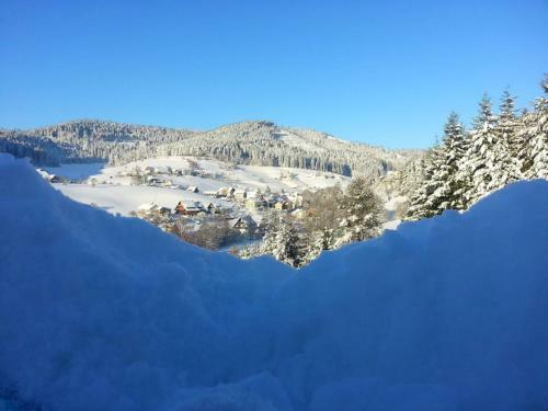 Apartamento Haus Schwarzwaldgrund