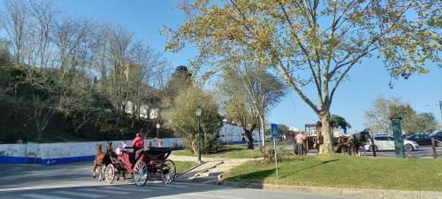 Apartamento Filipe�s House