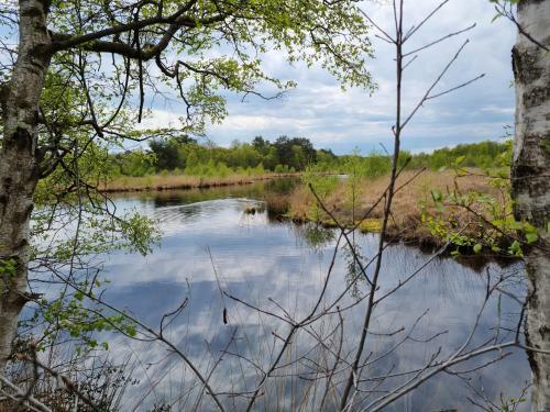 Apartamento Ferienwohnung An Der M�hle