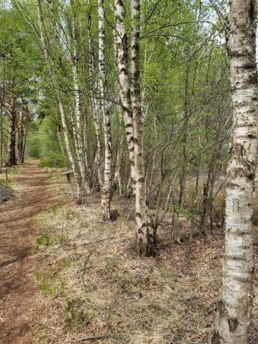 Apartamento Ferienwohnung An Der M�hle