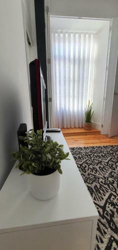 Apartamento Salinas