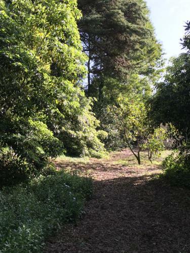 Casa Dos Pintos, Golf E Natureza