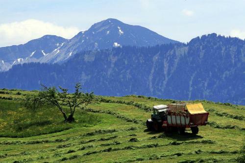Alpen Wohlf�hlquartier