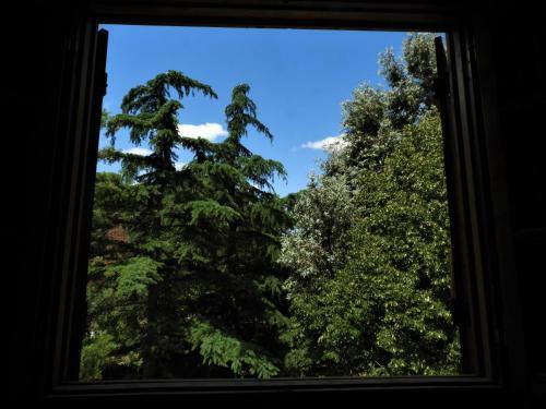 Caba�a La Felipa