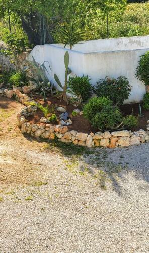 Apartamento Hakuna Matata