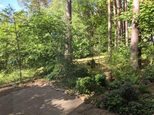 Wald Und Wohlsein
