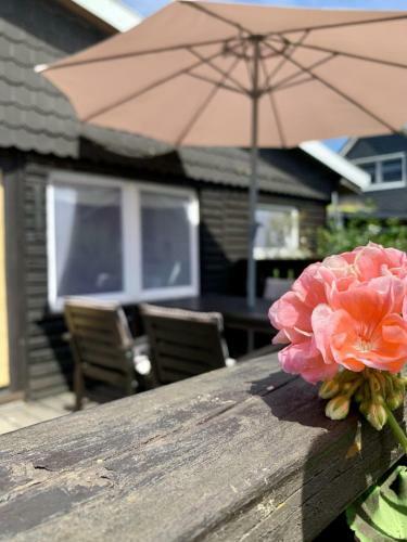 Duwe - Ferienhaus Muckelbude