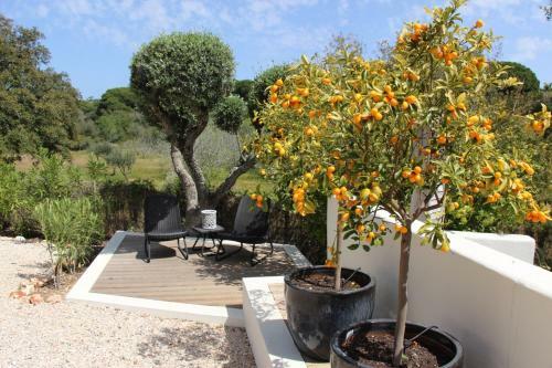 Casa Sereno