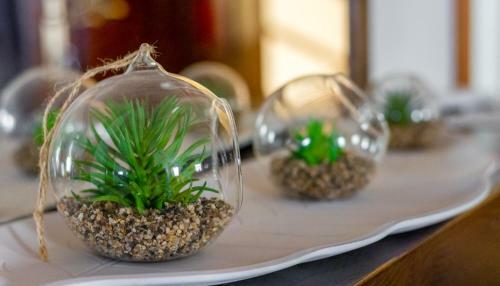 Apartamento Fonte Da Rosa Guest House