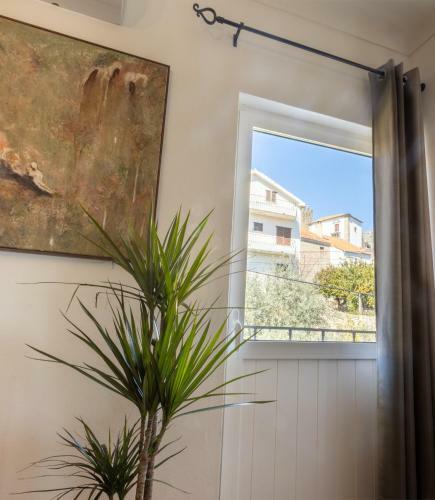 Apartamento Fonte Da Rosa Guest House