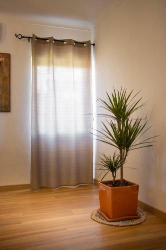 Apartamento Fonte Da Rosa Guest House