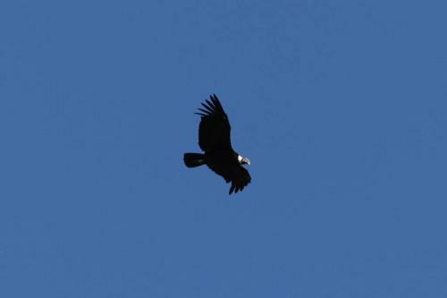 Casa En Taf� Del Valle