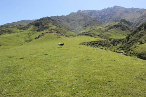 Casa En Taf� Del Valle