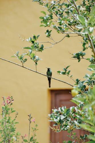 Casa En Taf� Del Valle