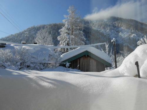 Amsel Haus