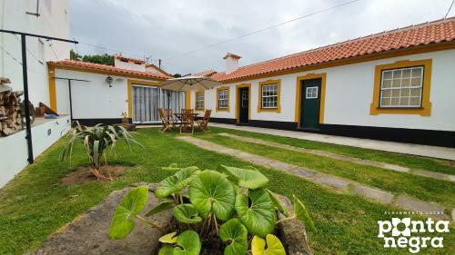 Apartamento Alojamento Ponta Negra