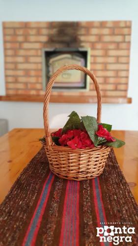 Apartamento Alojamento Ponta Negra