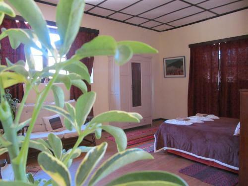 Apartamento La Quebrada Enigm�tica. Arte, M�stica E Historia