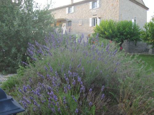 Bed & Breakfast Mas De La Garrigue