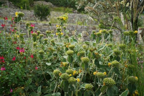 Bed & Breakfast La Seigneurie De Naves