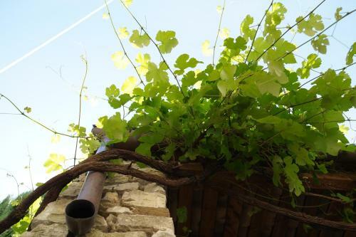 Bed & Breakfast La Seigneurie De Naves