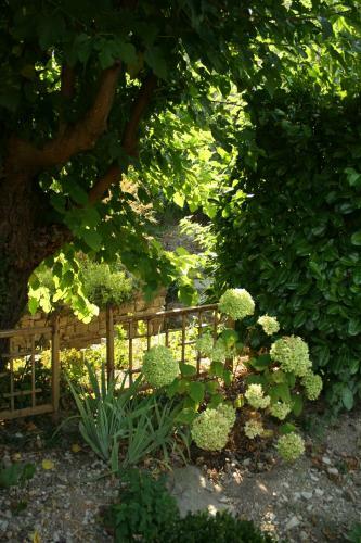 Bed & Breakfast La Seigneurie De Naves