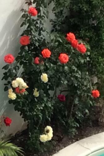 Bahiaincantata B&B Reggio Calabria