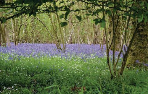 Holiday Home Ferme De La Butte J-866