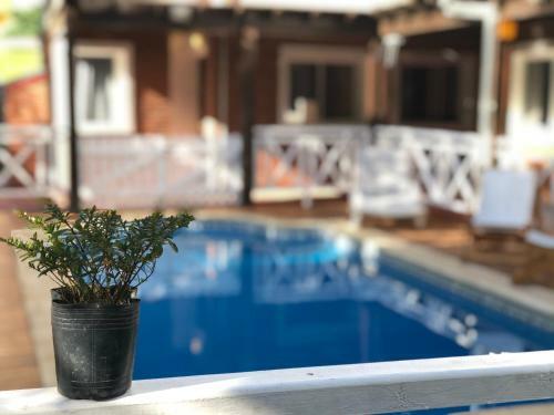 Apartamento Valeria Costa Y Mar
