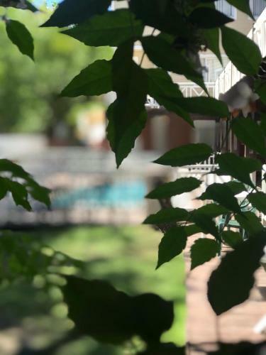 Apartamento Valeria Costa Y Mar