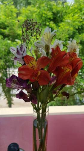 Apartamento Valeria City