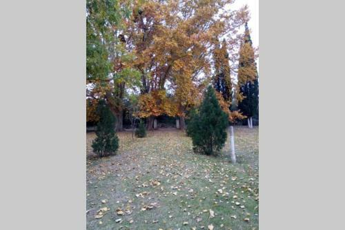 Villa Chacra Kair�s