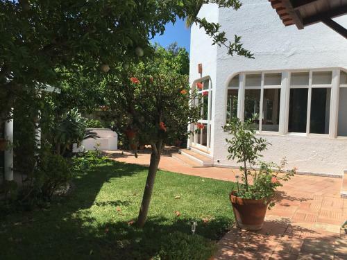 Typical Algarvian Family Home