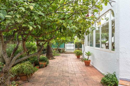 Typical Algarvian Family Home