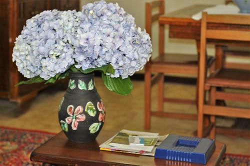 Casa Da Figueira Moura - Quintinha D`arga