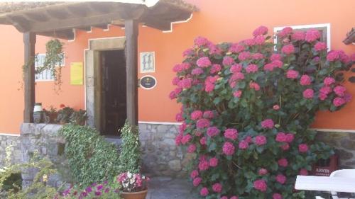 Hotel Pe�alba