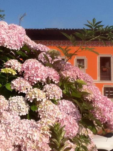 Hotel Pe�alba