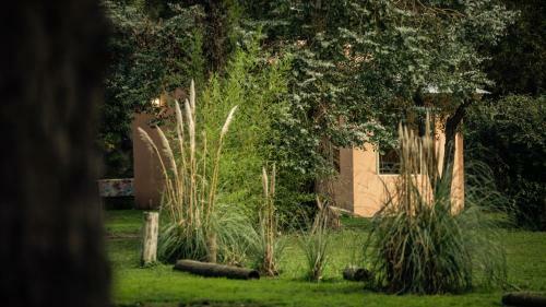 Apartamento Nomeolvidesm�s