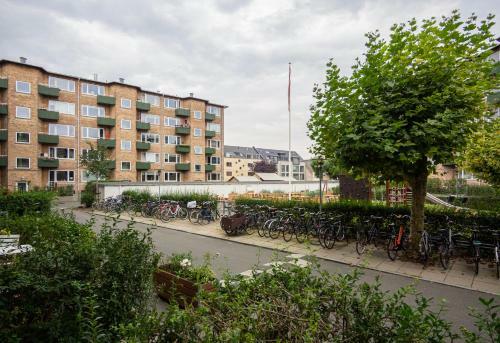 Central Beautiful 1 Bedroom Apartment With Terrace