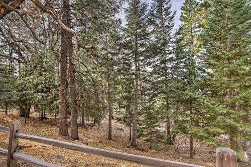 Two Bears Retreat - Scenic Cabin With Views!