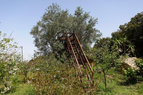 Bed & Breakfast Ol� Bel�m! Cozy Windmill, Stunning Views To Lisboa