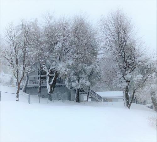 Escape To Your Mountain Home,