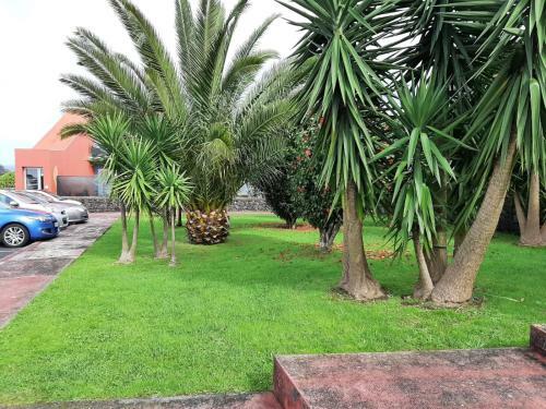 Casa Das Yucas - P�tio Apartment