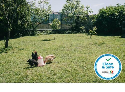 Agroturismo Mar Dentro - The Surf Farm