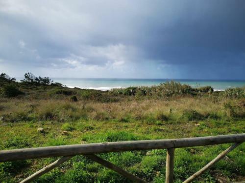 Sunny Ocean View Apartment With Swimming Pool