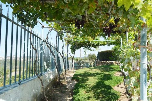 Villa At S�o Juli�o Beach, Ericeira