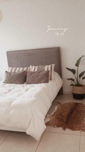 Apartamento Departamento De Categor�a
